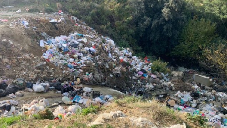 Pogradec, Alarupi i mbytur nga plehrat! Banorët: S'ka kosha mbeturinash, makina e pastrimit vjen një herë në javë