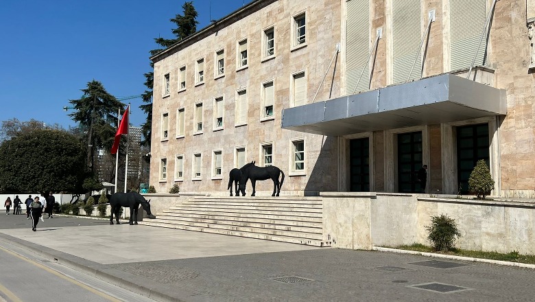 3 kuaj të zinj në derë të Kryeministrisë, zbulohet arsyeja