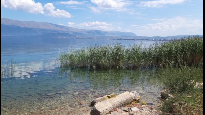 Po peshkonin në kundërshtim me ligjin, vihen nën hetim 5 peshkatarë në Pogradec