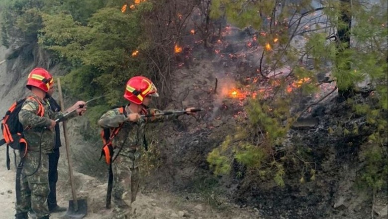 Zjarr në Qafëpanjë të Pogradecit, dyshohet se është e qëllimshme! Digjen 3 dynym tokë