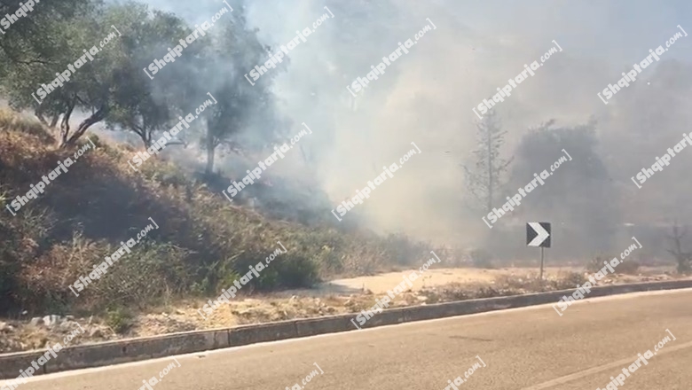 Zjarr në Nivicë të Himarës, digjet një sipërfaqe me ullishte (VIDEO)