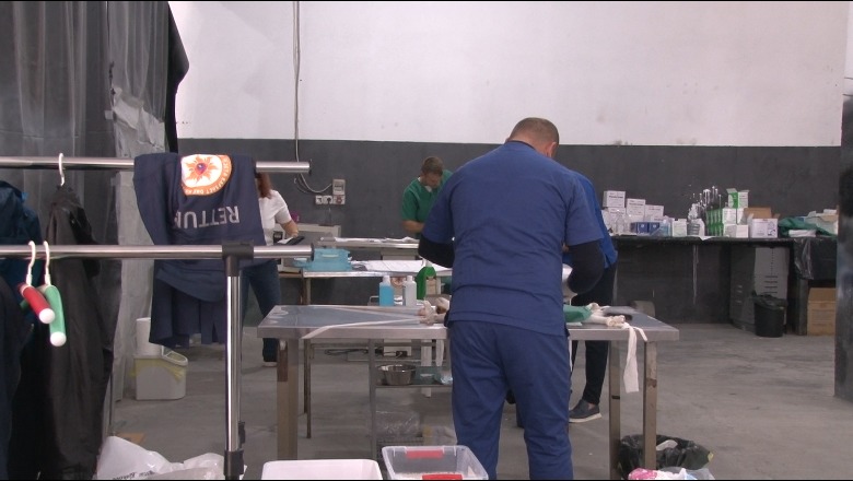 Durrës, vullnetarët sterilizojnë kafshët e rrugës