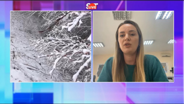 Pranvera e vonuar, meteorologia për Report Tv: Temperaturat e ulëta do të na shoqërojnë deri të shtunën