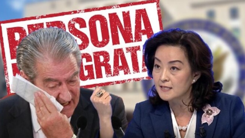 Lidhja pa lidhje nga Berisha e aferës ‘McGonigal’ me ambasadoren Kim