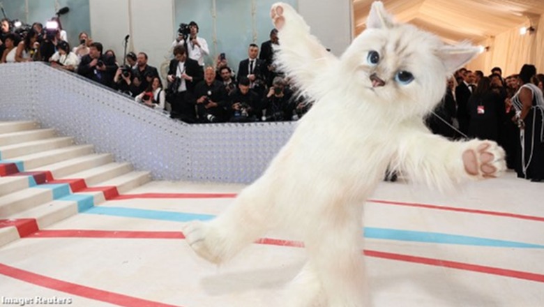 FOTOT/ Kush u ‘fsheh’ pas kostumit të një maceje në Met Gala?