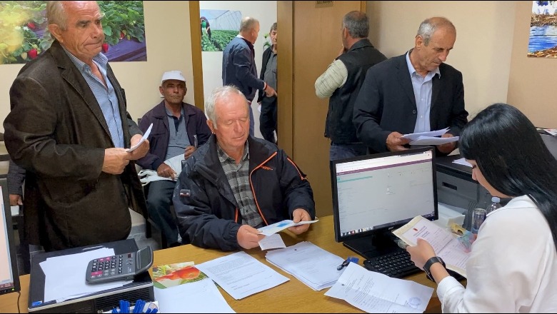 Fermerët në Lushnje marrin naftën falas: Sasia më e ulët se vjet! Dolën shpejt për shkak të fushatës