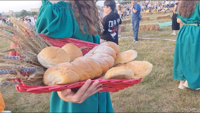 Rikthehet ‘Festa e Grurit’ në Fier! Tradita bën bashkë 3500 vizitorë, fermerët: Nuk kemi ku e çojmë prodhimin, s’ka treg shitje