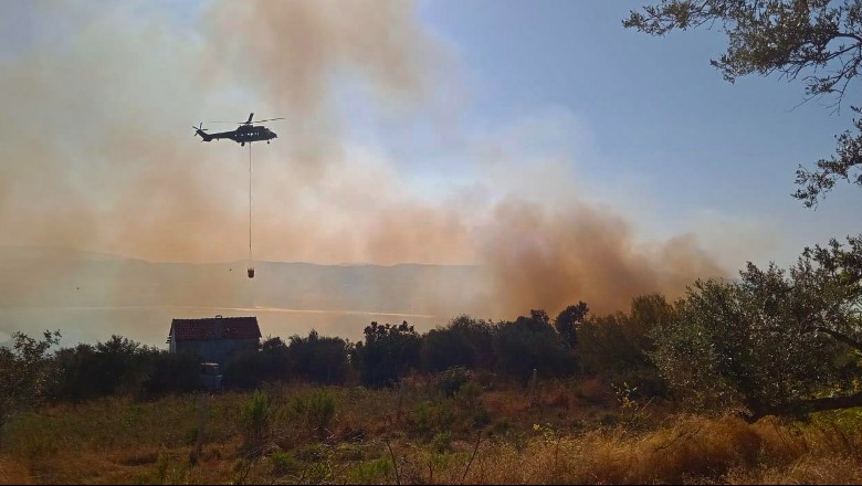 Rrethohet nga flakët ullishtja në Peshtan të Fierit, rrezikohen katër banesa, ndërhyn nga ajri helikopteri Cougar 