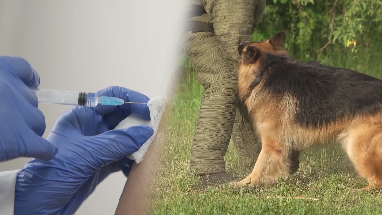 Investigimi i Report Tv/ Kujdes nga infeksionet! Mungon tetanozi, QSUT, Infektivi, QSH e farmacitë pa gjilpëra! Furnizimi çështje e Ministrisë