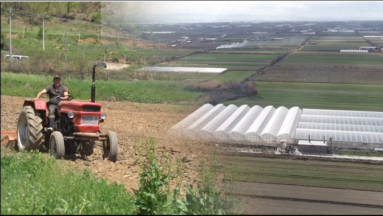 Skemë për sigurimin e sektorit bujqësor nga katastrofat natyrore/ Agrobiznesi: Ndihmon sektorin, të rishikohet edhe rimbursimi i TVSH-së për fermerët