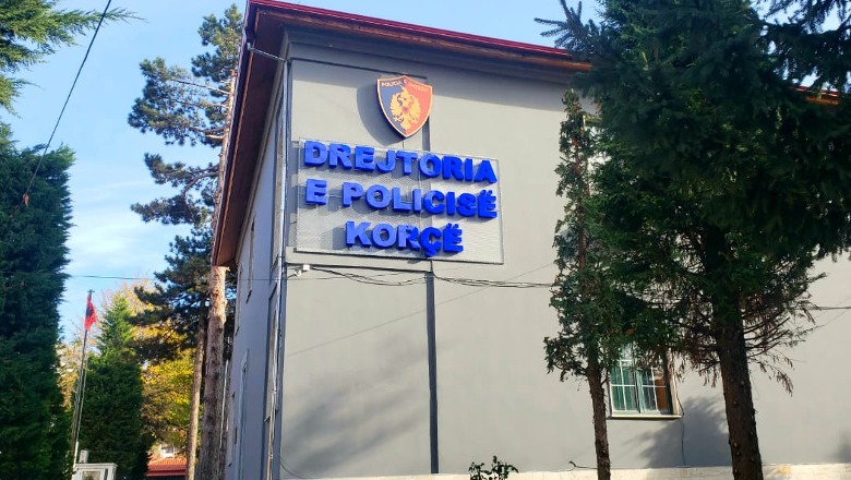 Dhunë, aksident, vjedhje e kanosje në Korçë! Arrestohen 2 persona, 2 të tjerë nën hetim