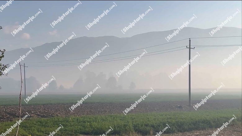 Djegia e torfës, Sheqerasi i Maliqit mbulohet nga smogu, banorët në protestë: Ndotja alarmante, po helmohemi! Topçiu: Veç shiu na shpëton