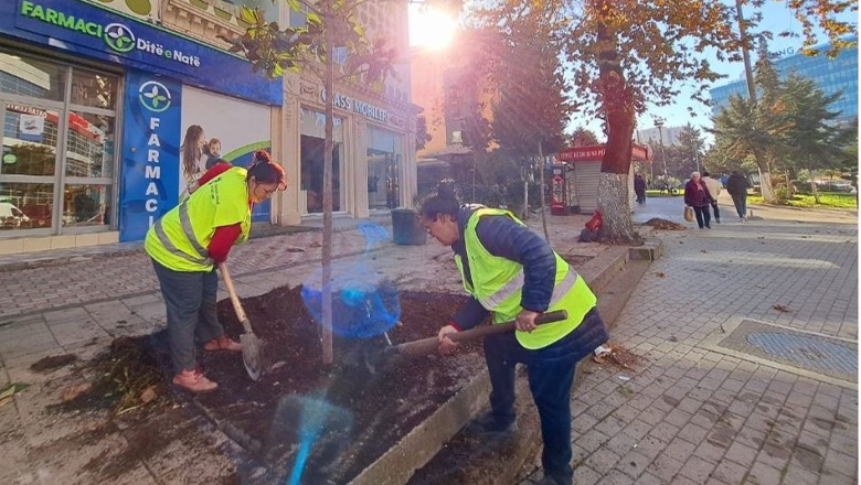 FOTO/ Pemë të reja në çdo cep të Tiranës