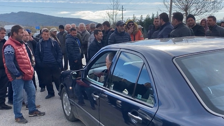 Blegtorët në Fier në protestë për çmimin e qumështit, bllokojnë rrugën: Grumbulluesit po na falimentojnë! Autoriteti i Konkurrencës hap hetim