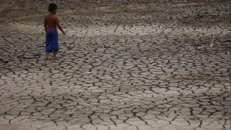 Studimi: Ndryshimet klimatike sjellin thatësirën rekord të pyjeve tropikale të Amazonës