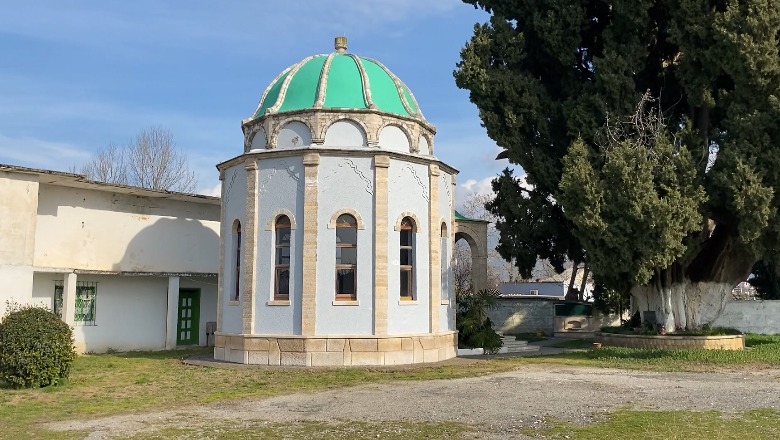 Dy qiparisët unik në Fushë-Krujë, monumente të natyrës! Ish-inxhinieri i pyjeve: Janë mbjellë 800 vite më parë nga bektashinjtë