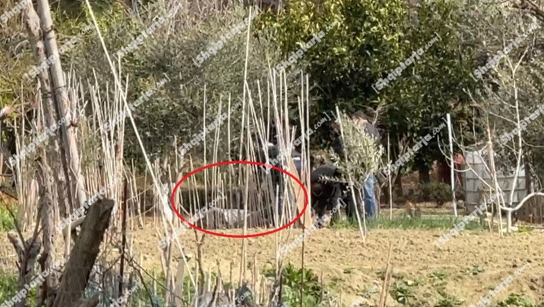 A e vrau vajza të atin? Misteret që fshihen pas krimit të rëndë në Durrës, 5 pyetjet që ende s'kanë përgjigje