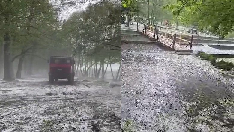 VIDEO/ Shi dhe breshër në njësinë administrative Leskovik, ja dëmet në bujqësi