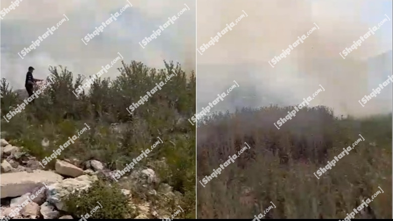 Berat/ Një sipërfaqe me shkurre merr flakë pranë tregut të ri, dyshohet se është e qëllimshme! Vijon puna për kapjen e autorëve (VIDEO)