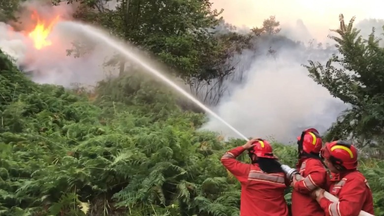 Shuhet zjarri në Delvinë, vijon pranë liqeneve të Lurës, flakët kanë përpirë pyllin me pisha! Ushtria e zjarrfikëset në vendngjarje