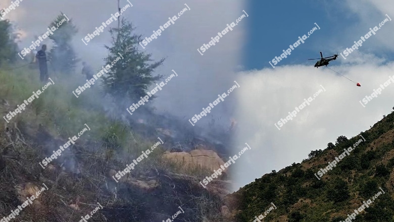 Donin të rigjeneronin kullotat për sezonin e ri, por djegin 3 ha tokë në dy fshatra! Procedohen i moshuari dhe 40-vjeçari në Burrel