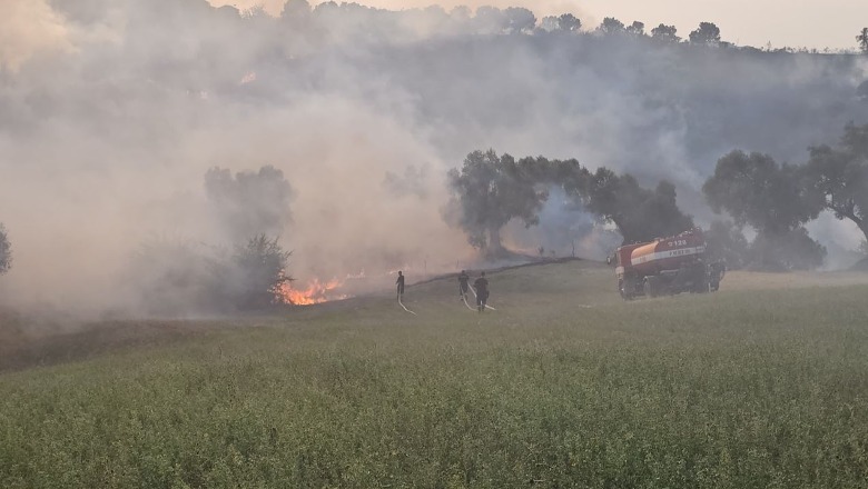 Kavajë/ Zjarr në një sipërfaqe me pemë, po ndërhyhet nga ajri dhe toka! Ministri Balla dhe kryebashkiaku Qosja në vendngjarje.