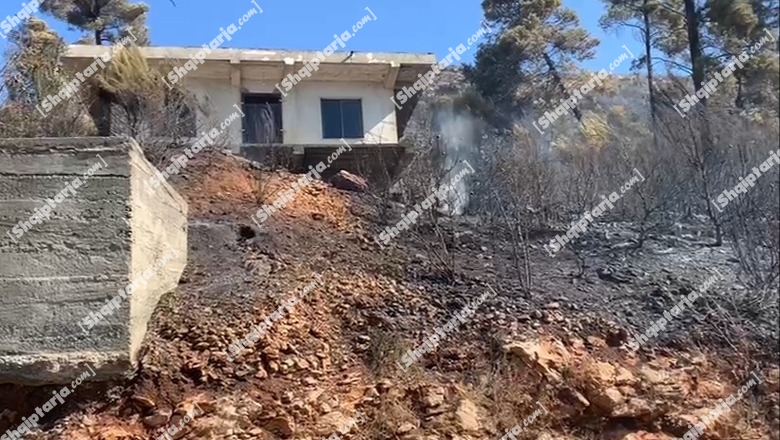 Vihen në kontroll flakët në Shëngjin, pritet sërish ndërhyrje me helikopter