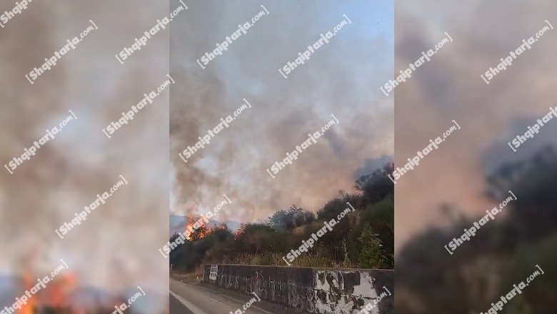 Tepelenë/ Ndezën zjarre për të pastruar tokat, por dogjën shkurre e kullota, 2 në hetim