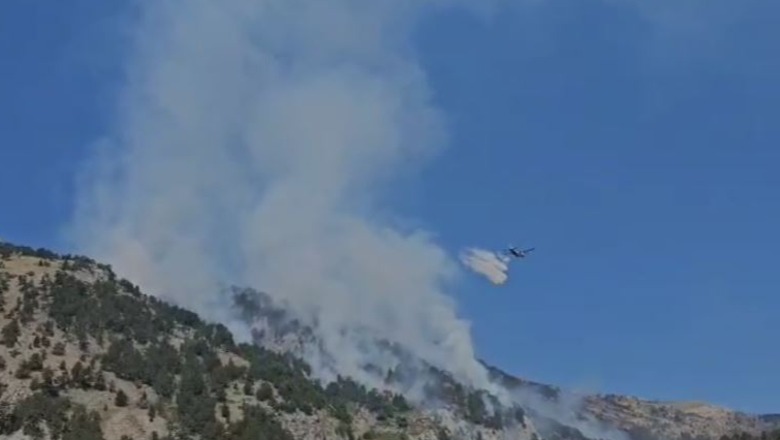 Video/ Dita e pestë e zjarrit në majën e malit të Tomorit, avioni rumun hedh tonelata uji nga ajri në vatrën më aktive