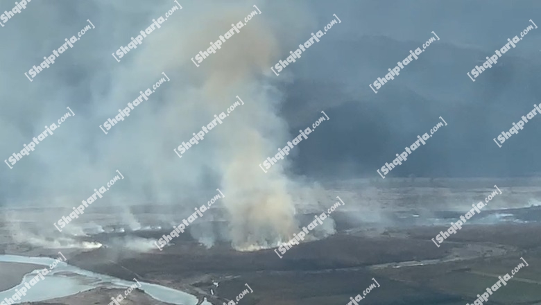 Përfshihet nga flakët lugina e Vjosës, rrezikohen parcelat me ullinj! Shërbimi zjarrfikës në vendngjarje (VIDEO)