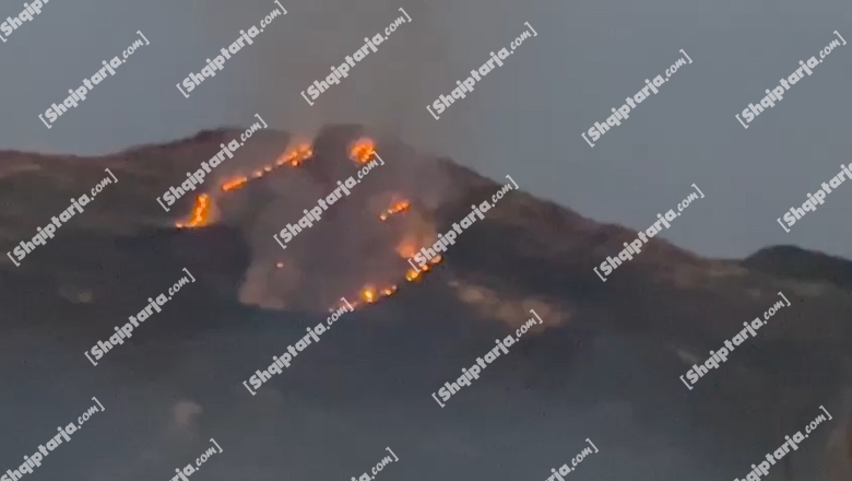 Peqin/ Bie zjarr në kodrat me ullinj të fshatit Bishqem, terreni i vështirë pengon zjarrfikësit për shuarjen (VIDEO)